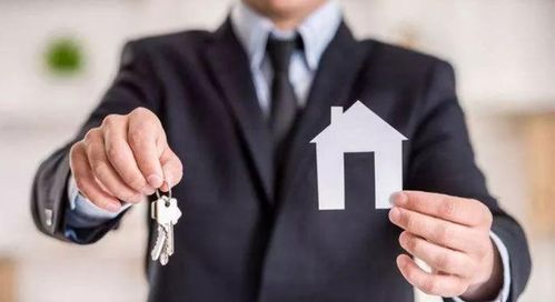 中國(guó)房地產(chǎn)代理行業(yè)的發(fā)展歷程與信息咨詢(xún)服務(wù)的演進(jìn)